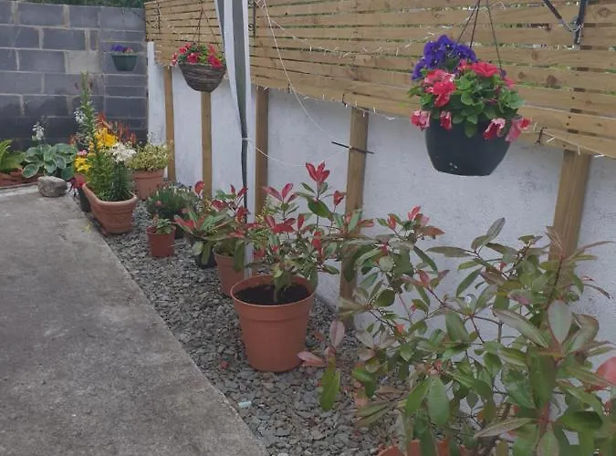 Pia House Bed & Breakfast 3*